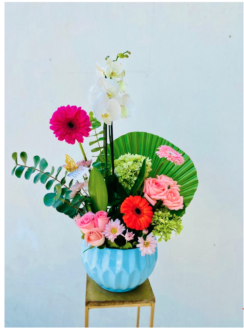Orquídeas 05
